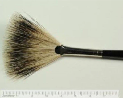 Otto's pennello ventaglio 18cm