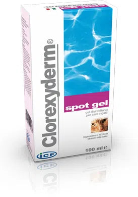 CLOREXYDERM- Spot gel